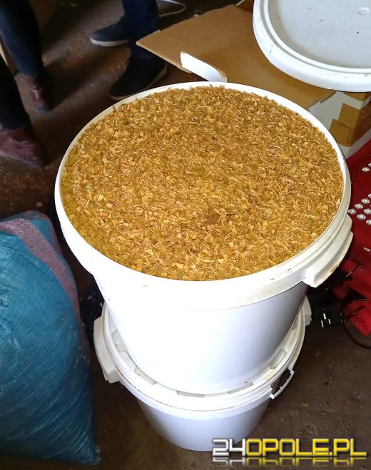 Kryminalni zabezpieczyli nielegalny tytoń oraz papierosy