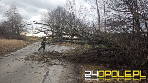 Strażacy podsumowali interwencje pogodowe na Opolszczyźnie