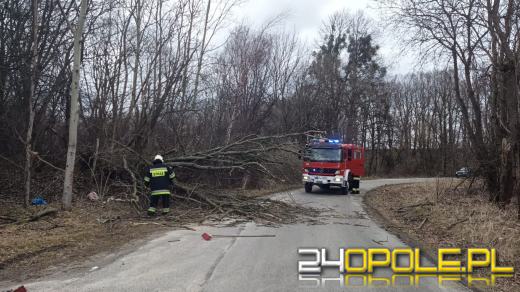 Strażacy podsumowali interwencje pogodowe na Opolszczyźnie
