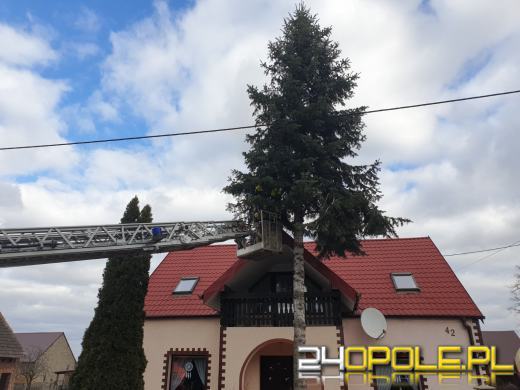 Strażacy podsumowali interwencje pogodowe na Opolszczyźnie