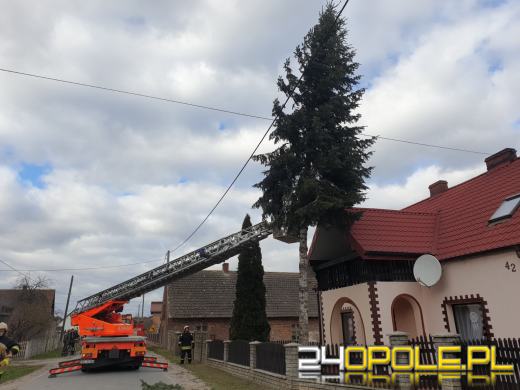 Strażacy podsumowali interwencje pogodowe na Opolszczyźnie