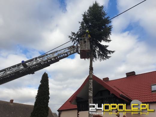 Strażacy podsumowali interwencje pogodowe na Opolszczyźnie