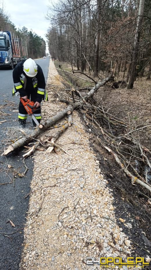 Strażacy podsumowali interwencje pogodowe na Opolszczyźnie