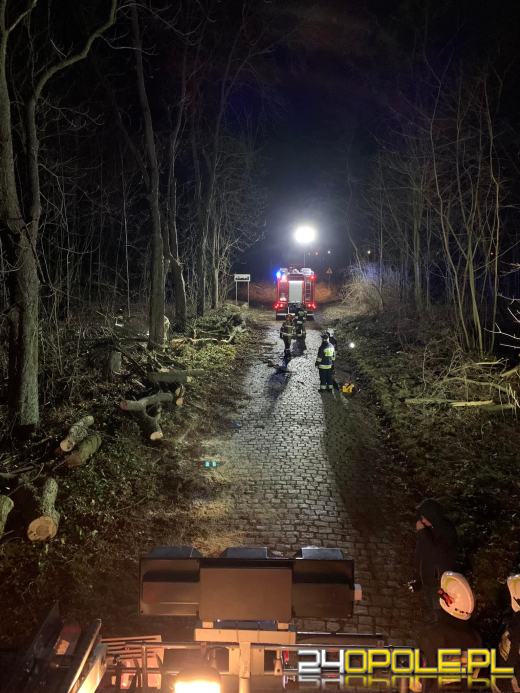 Strażacy podsumowali interwencje pogodowe na Opolszczyźnie