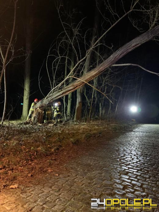 Strażacy podsumowali interwencje pogodowe na Opolszczyźnie