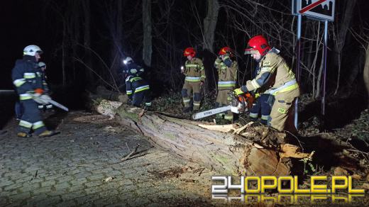 Strażacy podsumowali interwencje pogodowe na Opolszczyźnie