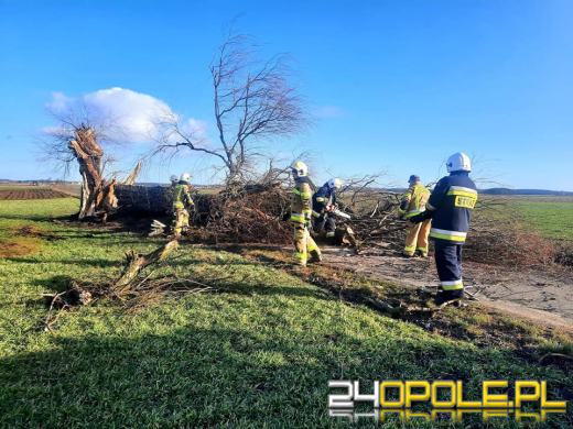Strażacy podsumowali interwencje pogodowe na Opolszczyźnie