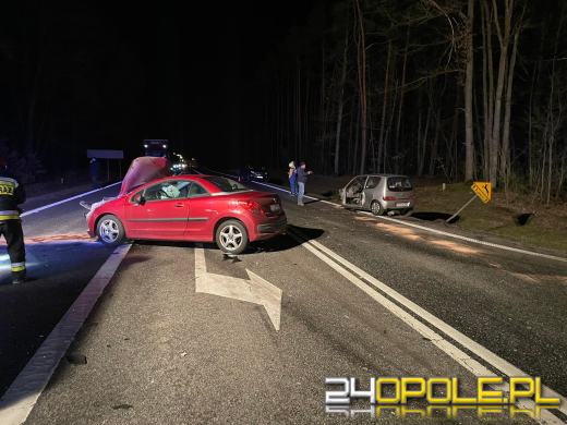 Wypadek w Schodni. Jedna osoba zakleszczona w pojeździe