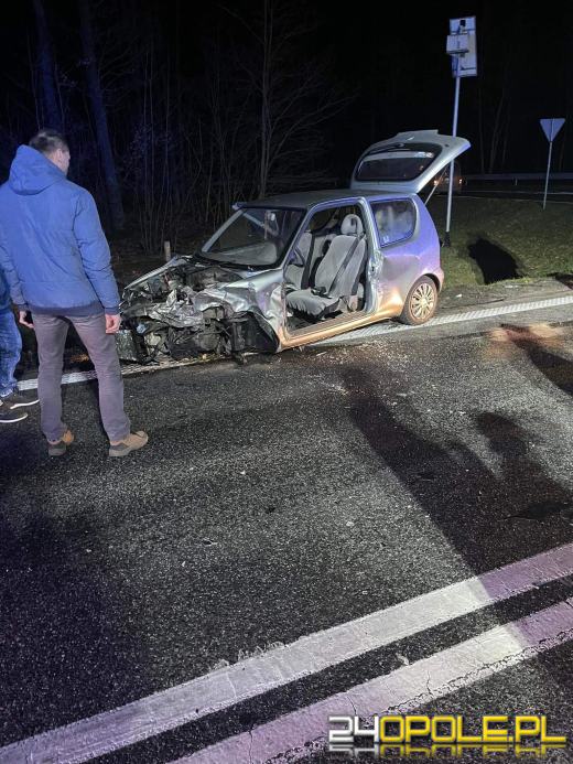 Wypadek w Schodni. Jedna osoba zakleszczona w pojeździe