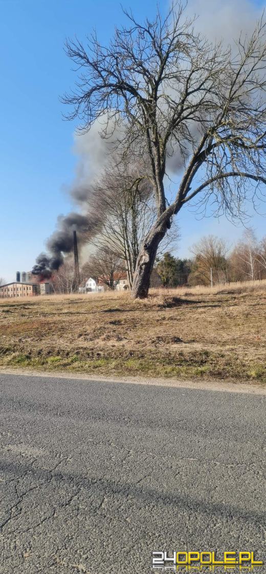 Kilkanaście zastępów straży walczyło z pożarem cegielni 