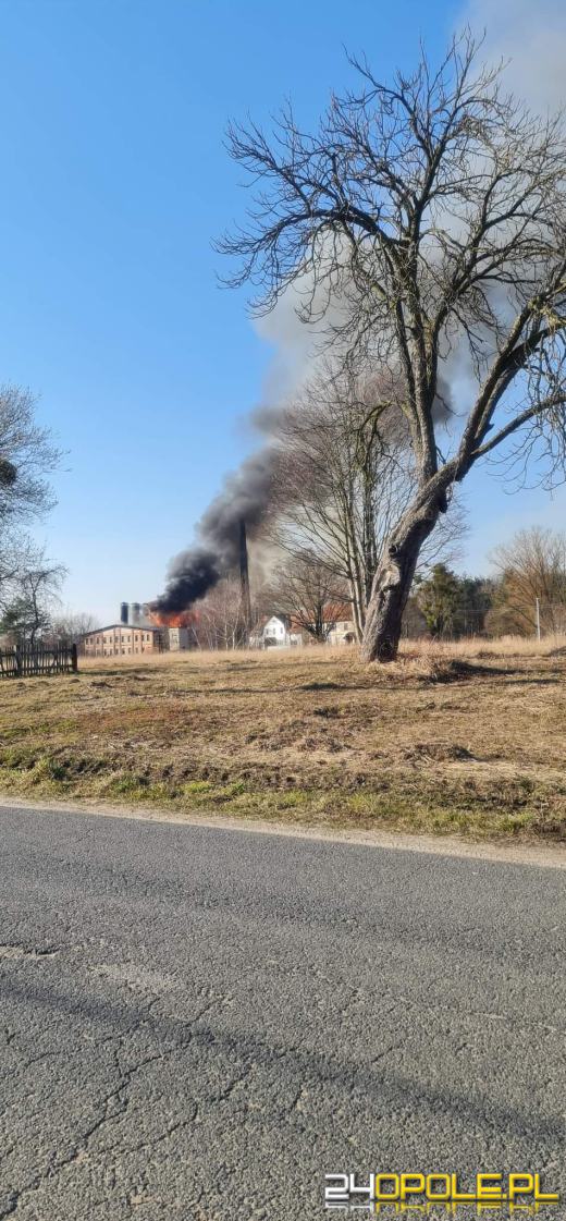 Kilkanaście zastępów straży walczyło z pożarem cegielni 