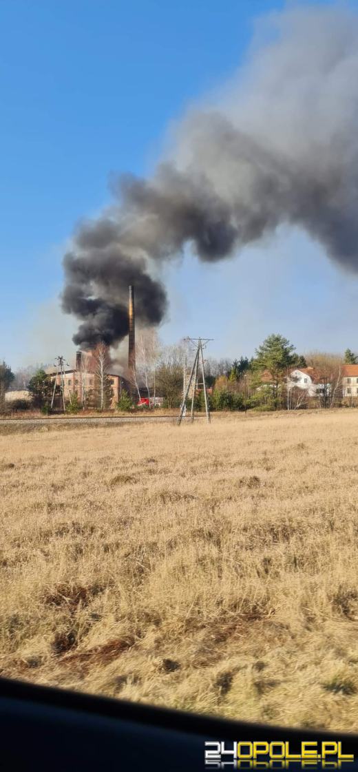 Kilkanaście zastępów straży walczyło z pożarem cegielni 