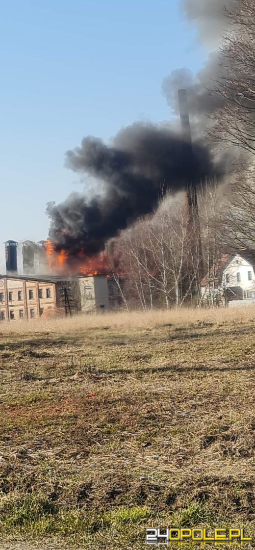 Kilkanaście zastępów straży walczyło z pożarem cegielni 