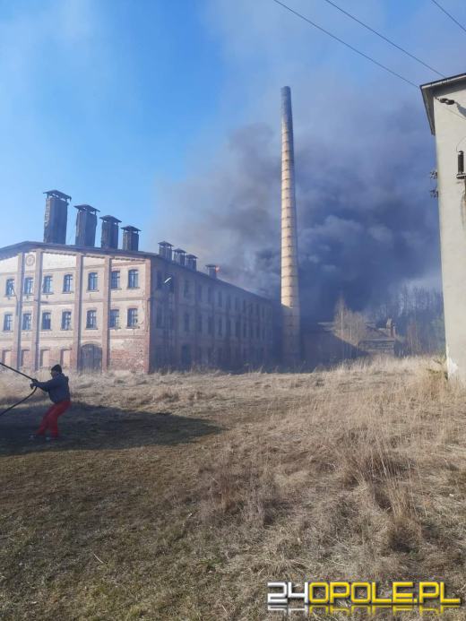 Kilkanaście zastępów straży walczyło z pożarem cegielni 