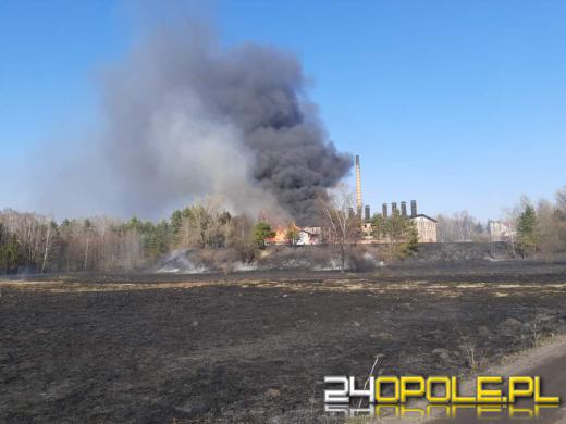 Kilkanaście zastępów straży walczyło z pożarem cegielni 