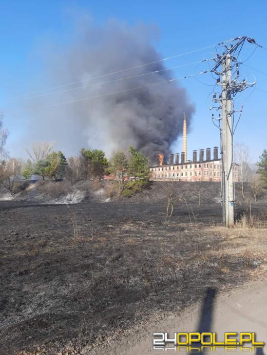 Kilkanaście zastępów straży walczyło z pożarem cegielni 