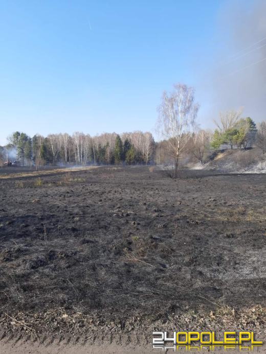 Kilkanaście zastępów straży walczyło z pożarem cegielni 
