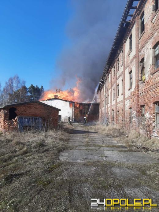 Kilkanaście zastępów straży walczyło z pożarem cegielni 