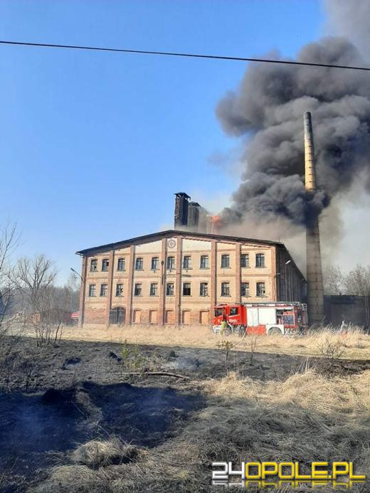 Kilkanaście zastępów straży walczyło z pożarem cegielni 