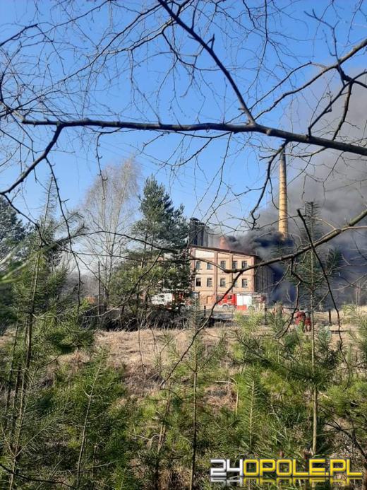 Kilkanaście zastępów straży walczyło z pożarem cegielni 