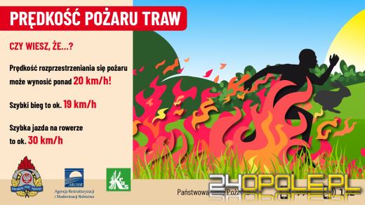 Coraz więcej pożarów traw w regionie