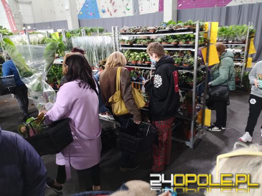 Prawdziwe zielone zakupy. Trwa "Festiwal Roślin"