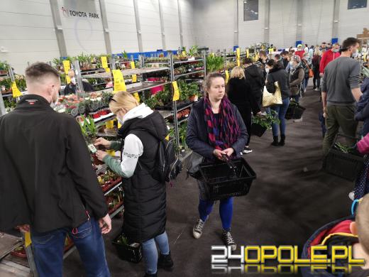 Prawdziwe zielone zakupy. Trwa "Festiwal Roślin"