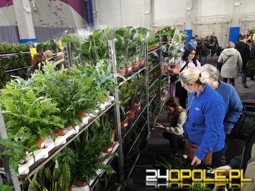 Prawdziwe zielone zakupy. Trwa "Festiwal Roślin"