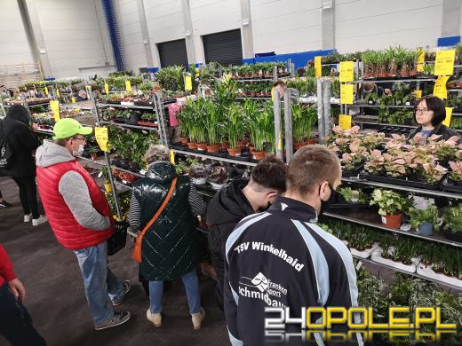 Prawdziwe zielone zakupy. Trwa "Festiwal Roślin"