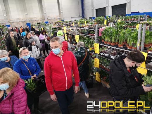 Prawdziwe zielone zakupy. Trwa "Festiwal Roślin"
