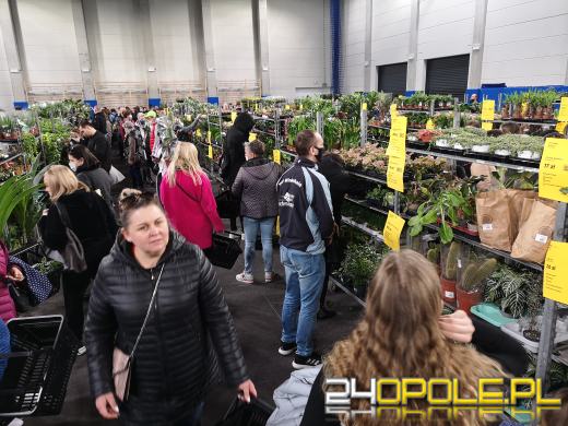 Prawdziwe zielone zakupy. Trwa "Festiwal Roślin"