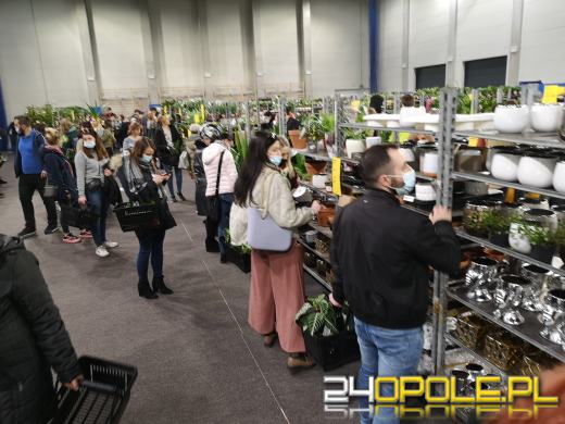 Prawdziwe zielone zakupy. Trwa "Festiwal Roślin"