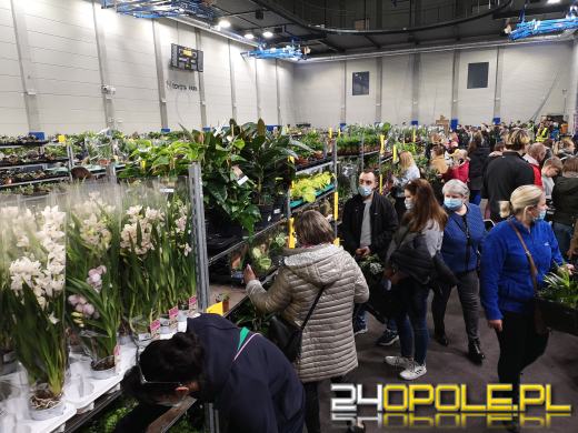 Prawdziwe zielone zakupy. Trwa "Festiwal Roślin"