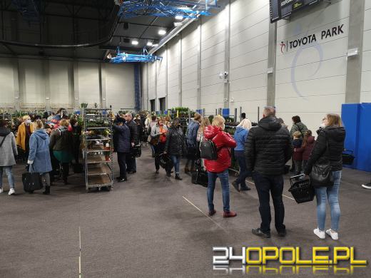 Prawdziwe zielone zakupy. Trwa "Festiwal Roślin"