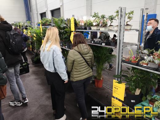 Prawdziwe zielone zakupy. Trwa "Festiwal Roślin"