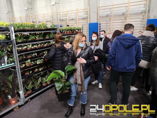 Prawdziwe zielone zakupy. Trwa "Festiwal Roślin"