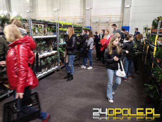 Prawdziwe zielone zakupy. Trwa "Festiwal Roślin"