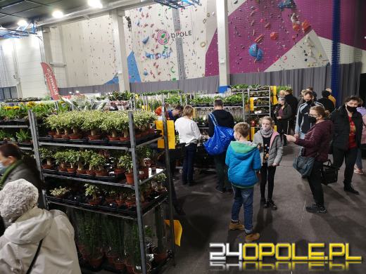 Prawdziwe zielone zakupy. Trwa "Festiwal Roślin"