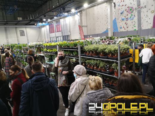 Prawdziwe zielone zakupy. Trwa "Festiwal Roślin"