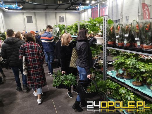 Prawdziwe zielone zakupy. Trwa "Festiwal Roślin"