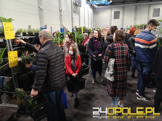 Prawdziwe zielone zakupy. Trwa "Festiwal Roślin"