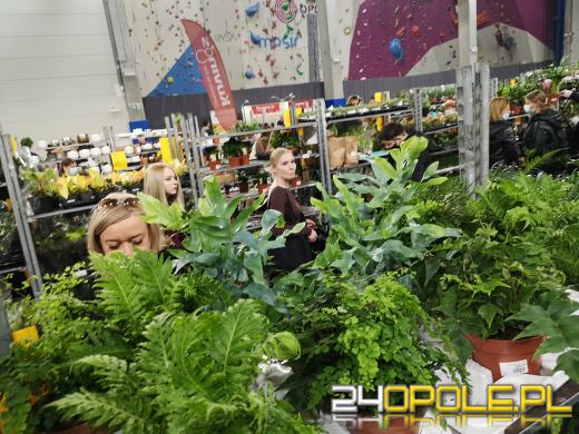 Prawdziwe zielone zakupy. Trwa "Festiwal Roślin"