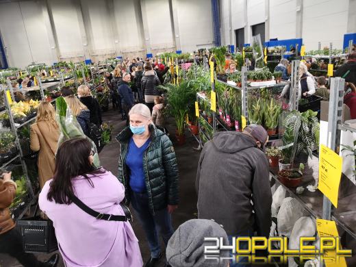 Prawdziwe zielone zakupy. Trwa "Festiwal Roślin"