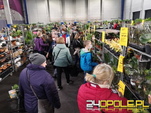 Prawdziwe zielone zakupy. Trwa "Festiwal Roślin"