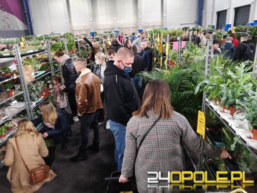 Prawdziwe zielone zakupy. Trwa "Festiwal Roślin"