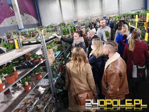 Prawdziwe zielone zakupy. Trwa "Festiwal Roślin"
