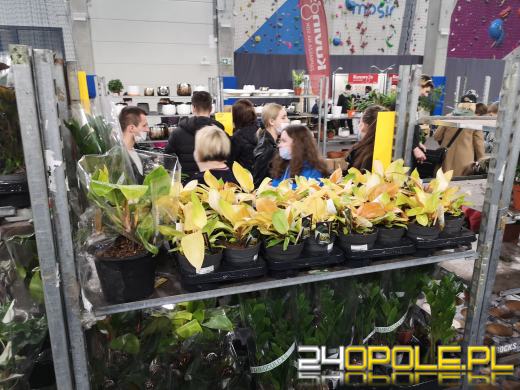 Prawdziwe zielone zakupy. Trwa "Festiwal Roślin"