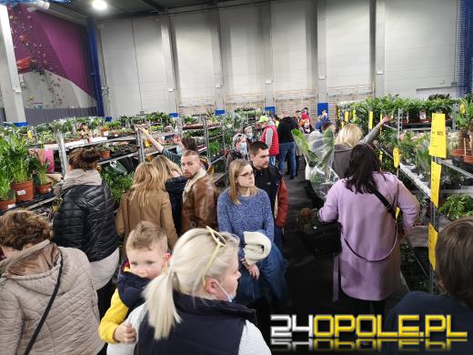 Prawdziwe zielone zakupy. Trwa "Festiwal Roślin"