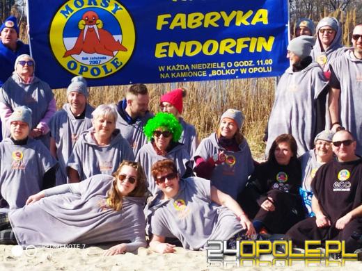 Morsy kończą sezon. Kolejne wejście do wody....latem 