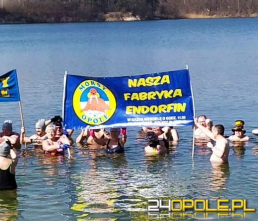 Morsy kończą sezon. Kolejne wejście do wody....latem 